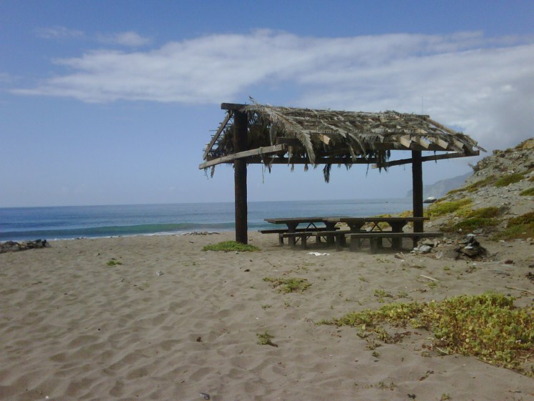 img01125 20101007 1344