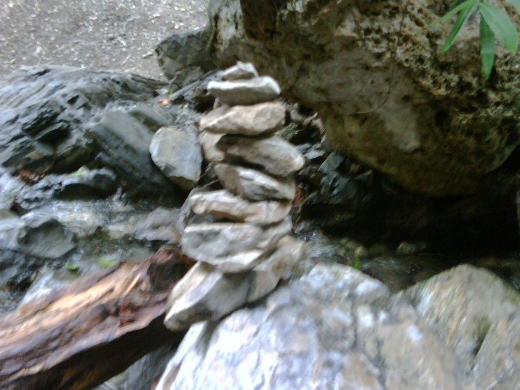 img01599 20110107 1240