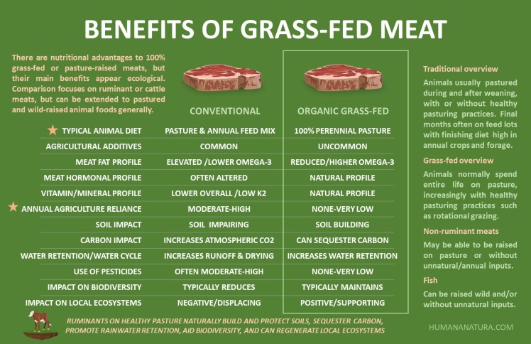 Grass Fed Meat